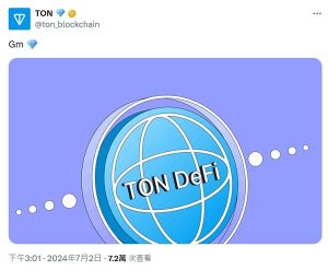 TON 链上 DeFi 生态系统的现状与未来展望缩略图