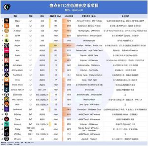 下半年牛市爆发 你必须了解的 BTC 生态未发币项目缩略图